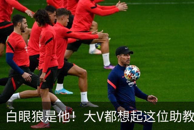 白眼狼是他！大V都想起这位助教 把鲁能告上法庭